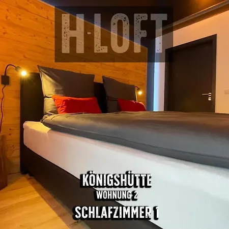 H-Loft Style Apartments Bad Lauterberg Zewnętrze zdjęcie